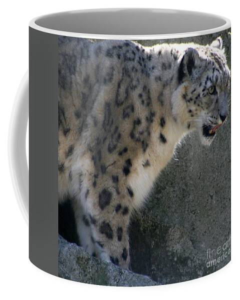 Snow Leopard Coffee Mug featuring the photograph Snow Leopard by Neal Eslinger