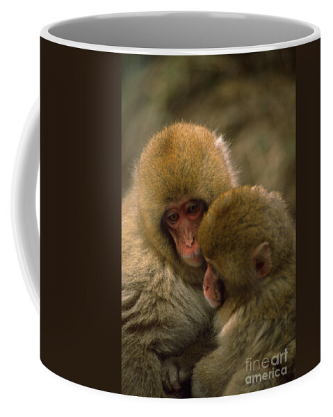 Snow Monkey Coffee Mug featuring the photograph Snow Monkeys Cuddling by Art Wolfe