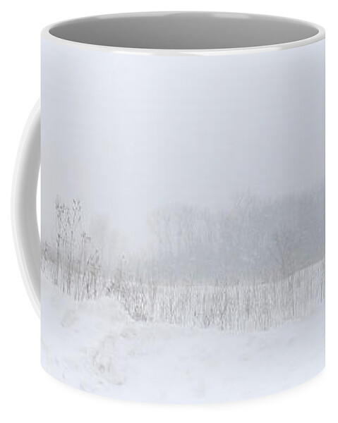 Storm Coffee Mug featuring the photograph Snow Storm Visibility by Kay Novy