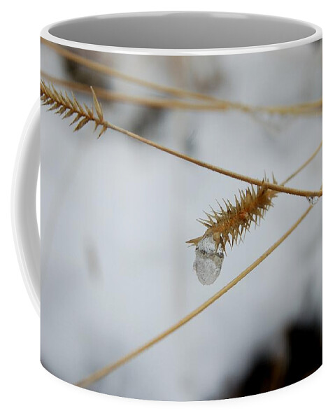 Dakota Coffee Mug featuring the photograph Snowdrop by Greni Graph