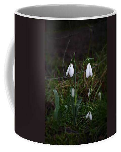 Nature Coffee Mug featuring the photograph Snowdrops by Spikey Mouse Photography
