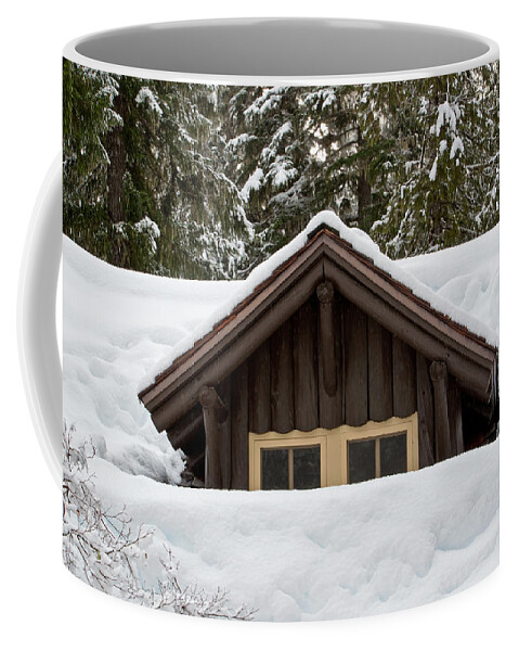 Roof Coffee Mug featuring the photograph Snowed In by Tikvah's Hope