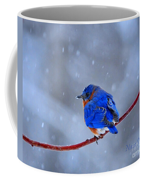 Nature Coffee Mug featuring the photograph Snowy Bluebird by Nava Thompson
