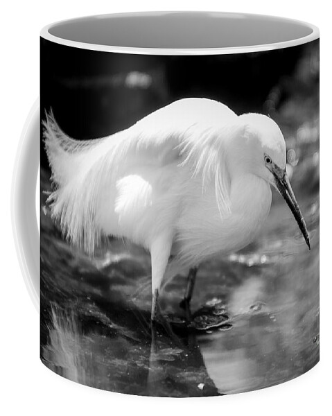 Bird Coffee Mug featuring the photograph Snowy Egret by Jennifer Magallon