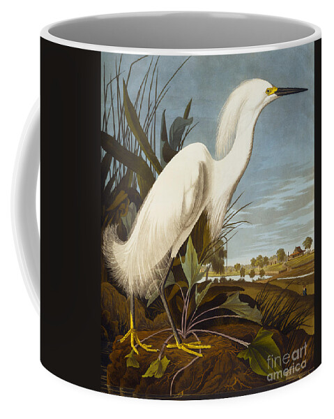 Bird Coffee Mug featuring the painting Snowy Heron Or White Egret by John James Audubon