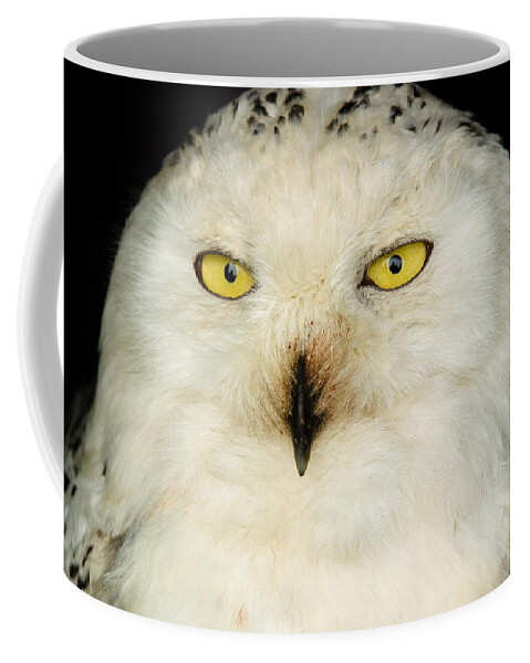 Barn Coffee Mug featuring the photograph Snowy Owl by Mark Llewellyn