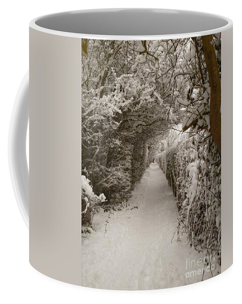 Snow Coffee Mug featuring the photograph Snowy Path by Vicki Spindler