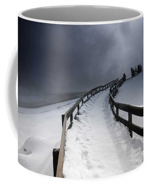 Winter Coffee Mug featuring the photograph Snowy Pathway by David Lichtneker
