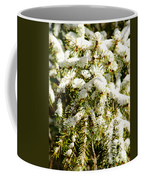 White Coffee Mug featuring the photograph Snowy Pines by Donna Greene
