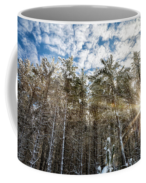 Landscape Coffee Mug featuring the photograph Snowy Pines with Sunflair by Brian Boudreau
