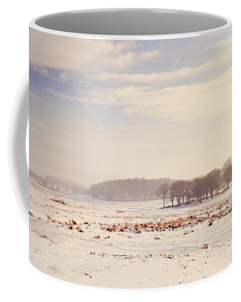 Valley Coffee Mug featuring the photograph Snowy Valley by Lyn Randle
