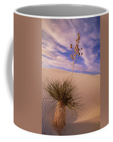 00341457 Coffee Mug featuring the photograph Soaptree Yucca On Dune by Yva Momatiuk and John Eastcott