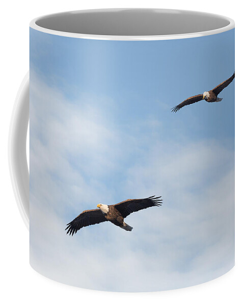 Eagle Coffee Mug featuring the photograph Soaring Bald Eagles by Bill Wakeley