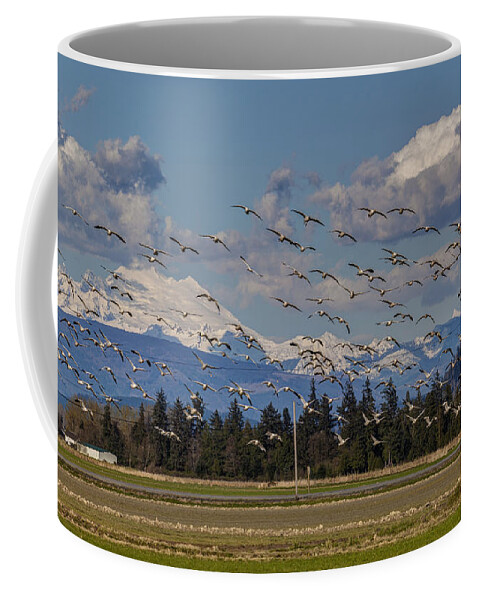 Snow Geese Coffee Mug featuring the photograph Soaring Skagit Snow Geese by Mike Reid