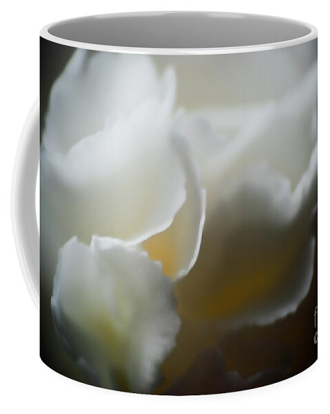 Flower Coffee Mug featuring the photograph Soft and Delicate by Ron Roberts