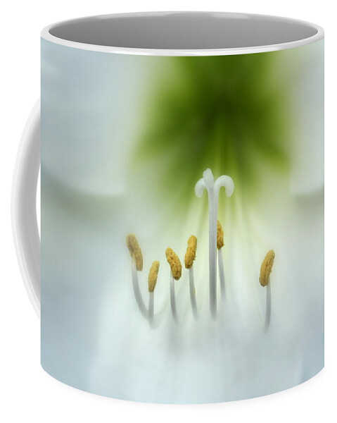 Nature Coffee Mug featuring the photograph Soft Beauty by Lynn Sprowl