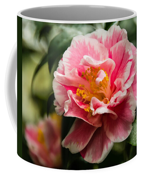 Beautiful Coffee Mug featuring the photograph Softly Striped Camellia by Penny Lisowski