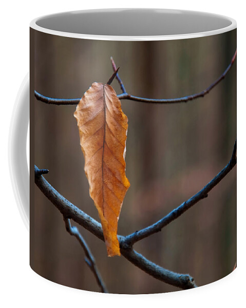 Flowers Coffee Mug featuring the photograph Solitary Leaf by Flees Photos