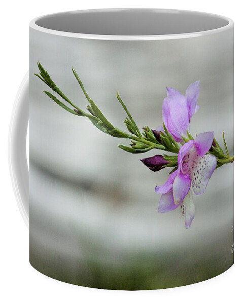 Flowers Coffee Mug featuring the photograph Solitary by Marcia Breznay