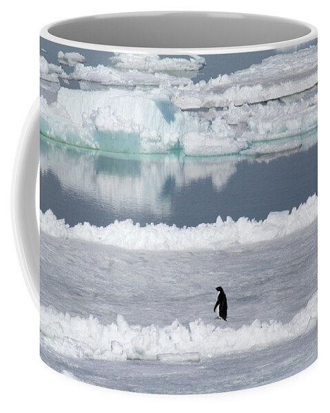 Ice Coffee Mug featuring the photograph Solitude by Ginny Barklow