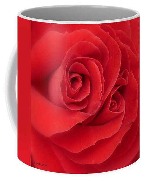 Red Rose Coffee Mug featuring the photograph Someone Watch Over Me by Lingfai Leung