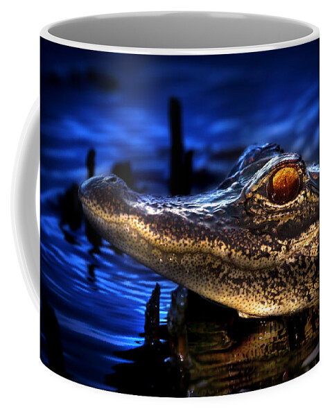 Alligator Coffee Mug featuring the photograph Son of a Gator by Mark Andrew Thomas