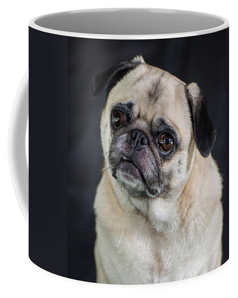 Pet Coffee Mug featuring the photograph Sophie by Stacy Abbott