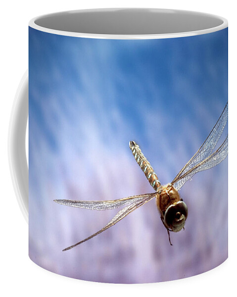 00640142 Coffee Mug featuring the photograph Southern Hawker Dragonfly by Michael Durham