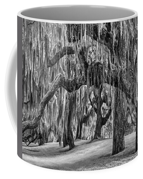 Clouds Coffee Mug featuring the photograph Spanish Moss in Black and White by Debra and Dave Vanderlaan