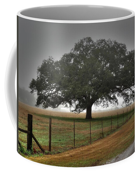 Spanish Oak Coffee Mug featuring the photograph Spanish Oak I by Lanita Williams