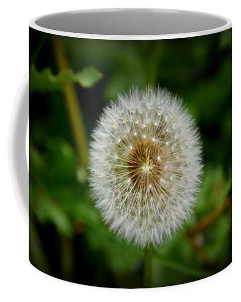 Sparkling Dandelion Coffee Mug featuring the photograph Sparkling Dandelion by Debra Martz
