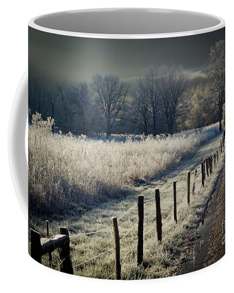  Coffee Mug featuring the photograph Sparks Lane December 2011 by Douglas Stucky