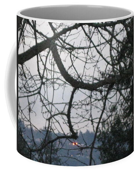 Tree Coffee Mug featuring the photograph Spider Tree by David Trotter