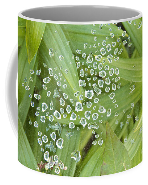 Abstracts Coffee Mug featuring the photograph Spider Web Of Diamonds by James BO Insogna