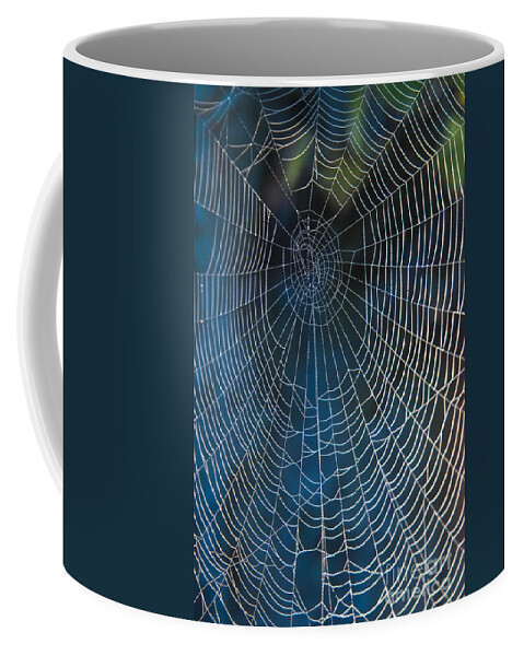 Spiderweb Coffee Mug featuring the photograph Spider's Net by Heiko Koehrer-Wagner