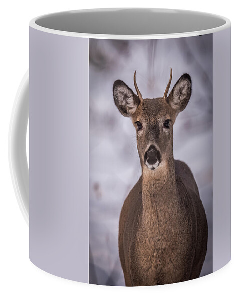 Buck Coffee Mug featuring the photograph Spike Buck by Paul Freidlund