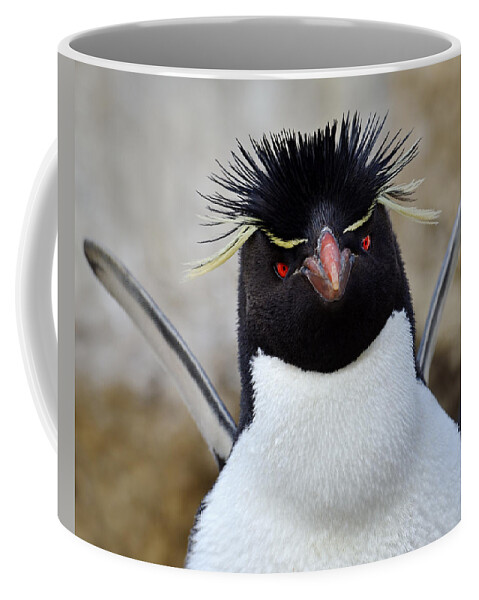 Eudyptes Chrysocome Chrysocome Coffee Mug featuring the photograph Spiky by Tony Beck