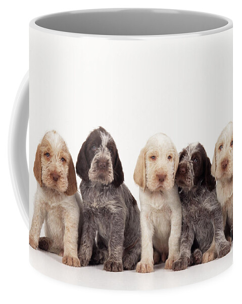 Dog Coffee Mug featuring the photograph Spinone Puppy Dogs by John Daniels