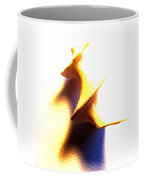 Shell Shadow Canvas Sea Nature Close Up Coffee Mug featuring the photograph Spiral by Guy Pettingell