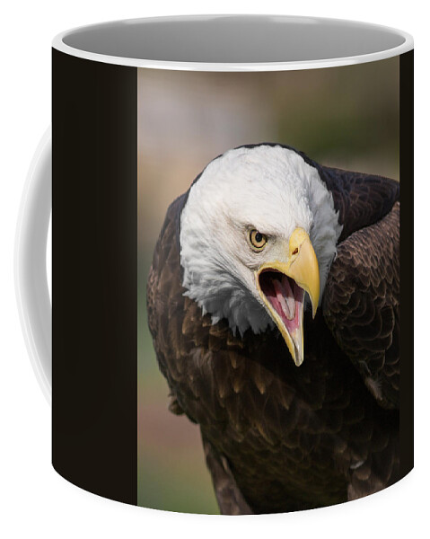 Bald Eagle Coffee Mug featuring the photograph Spiritual Quintessence by Dale Kincaid