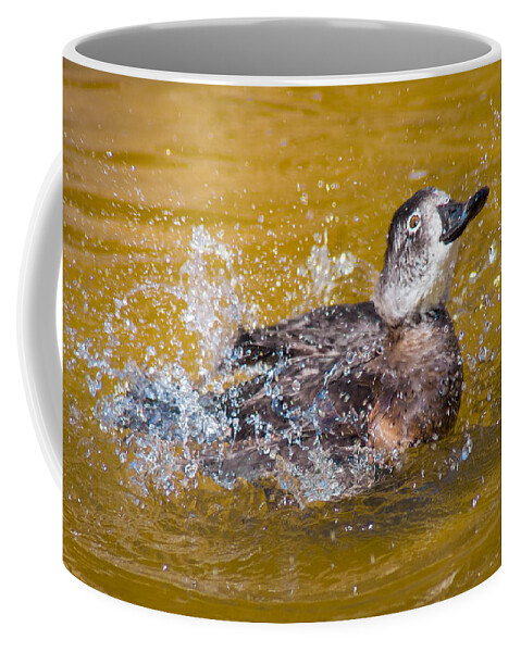 Bird Coffee Mug featuring the photograph Splishin' N Splashin' by Bill Pevlor