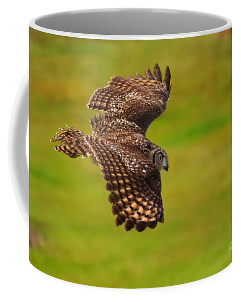 Bubo Coffee Mug featuring the photograph Spotted Eagle Owl in flight by Nick Biemans