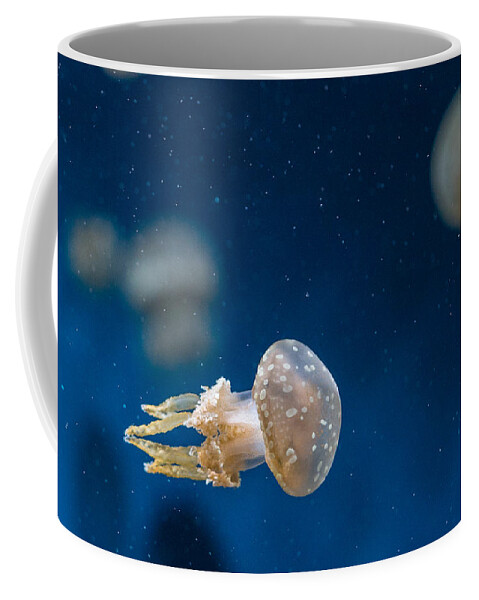 Jellyfish Coffee Mug featuring the photograph Spotted Jelly Aliens 2 by Scott Campbell