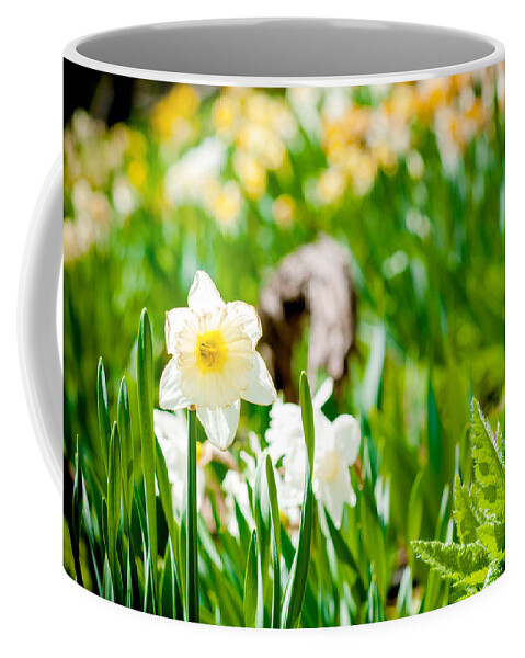 Cornish Coffee Mug featuring the photograph Spring a Burstin by Greg Fortier