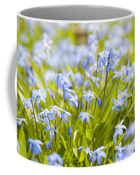 Flowers Coffee Mug featuring the photograph Spring blue flowers 5 by Elena Elisseeva