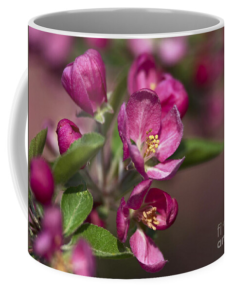 Nina Stavlund Coffee Mug featuring the photograph Spring Flirt... by Nina Stavlund