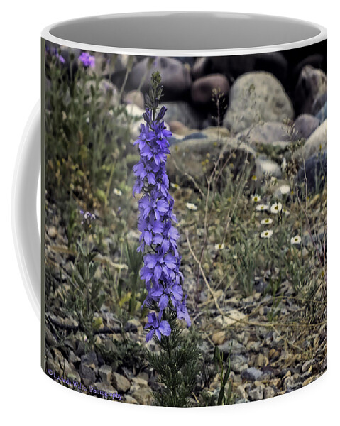 Lucinda Walter Coffee Mug featuring the photograph Spring Flowers by Lucinda Walter
