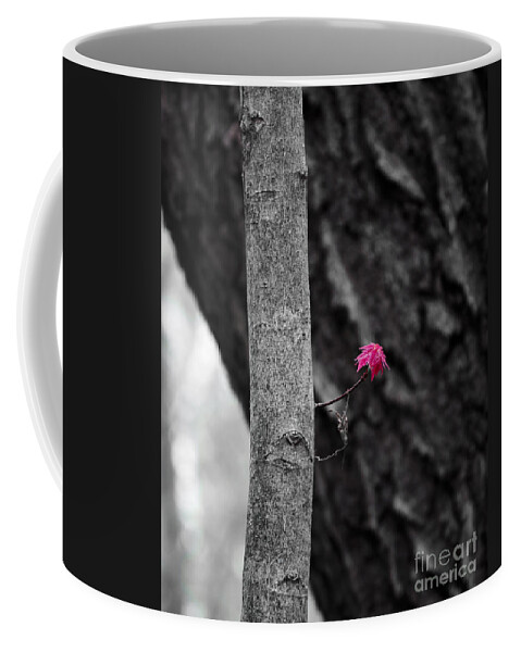 Natural Bridge Coffee Mug featuring the photograph Spring Maple Growth by Steven Ralser