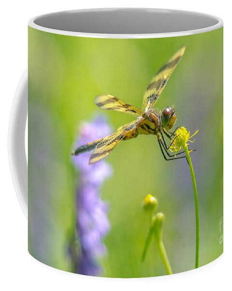 Halloween Pennant Dragonfly Coffee Mug featuring the photograph Spring Halloween Pennant by Cheryl Baxter