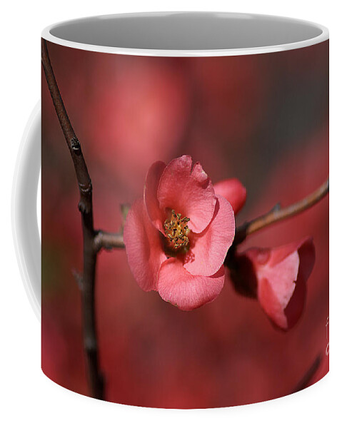 Red Coffee Mug featuring the photograph Spring Richness - Flowering Quince by Joy Watson